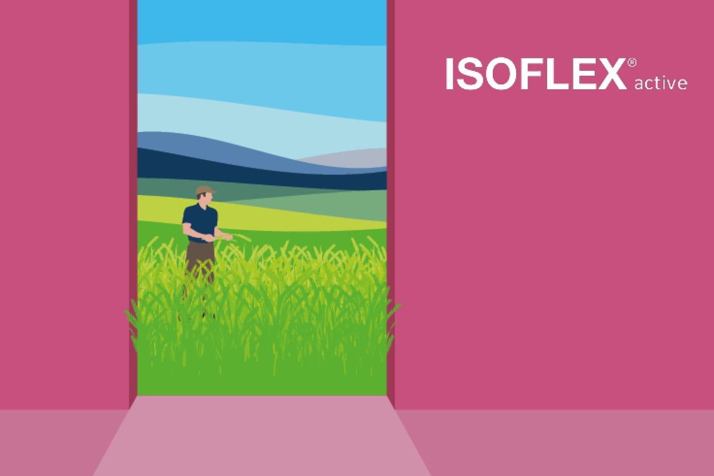 Isoflex Tür Magenta