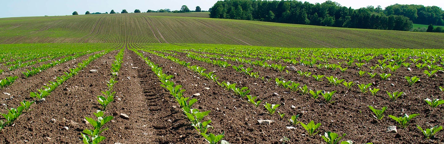 Centium 36 CS i roer