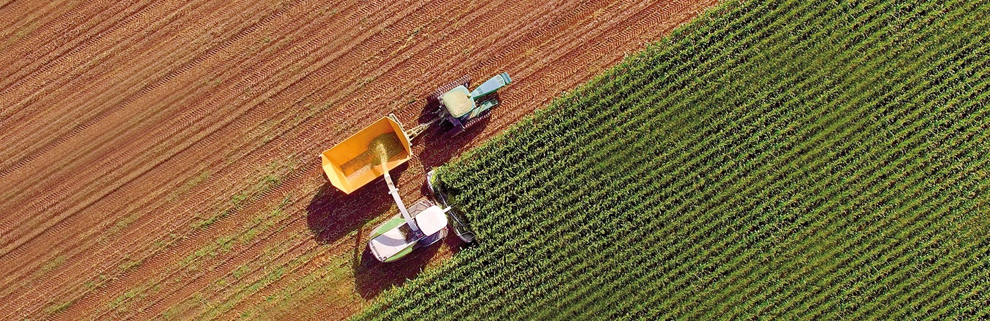 Agriculture