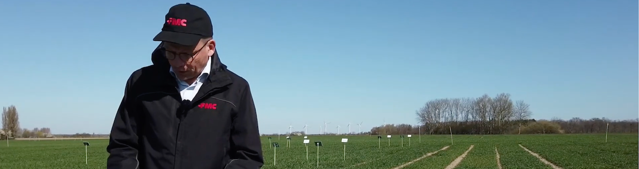 Michael vinder hvedekampen