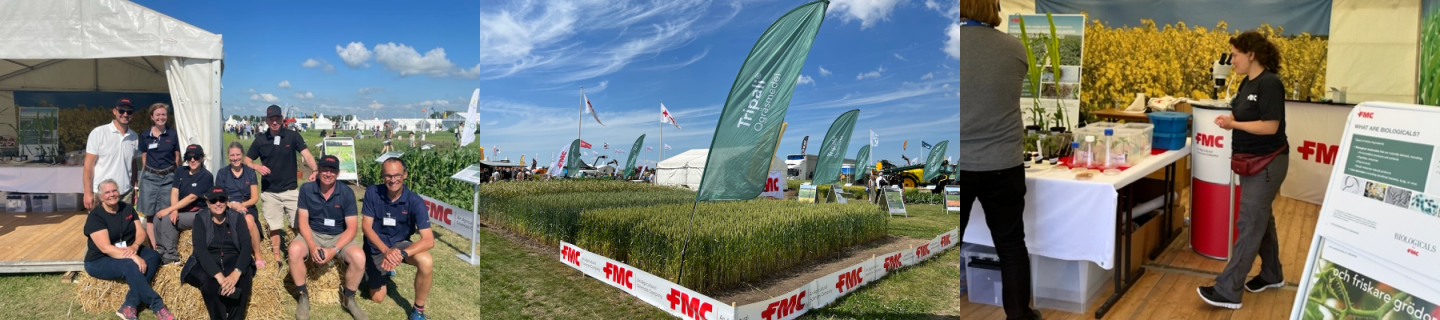 Borgeby Fältdagar 2024