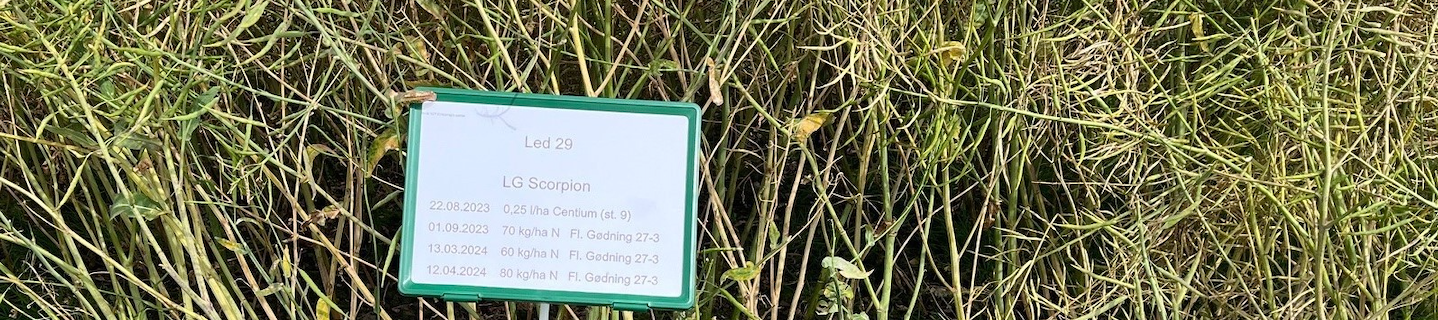 Egeskov demomark 2024