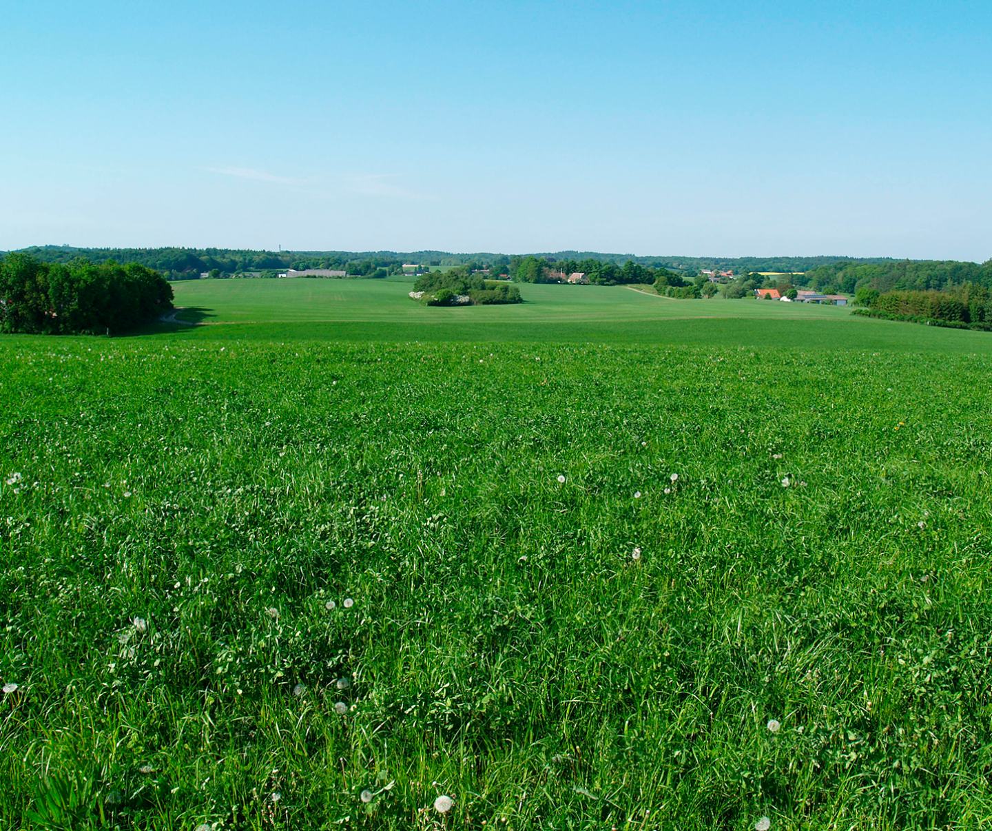 Graesmark