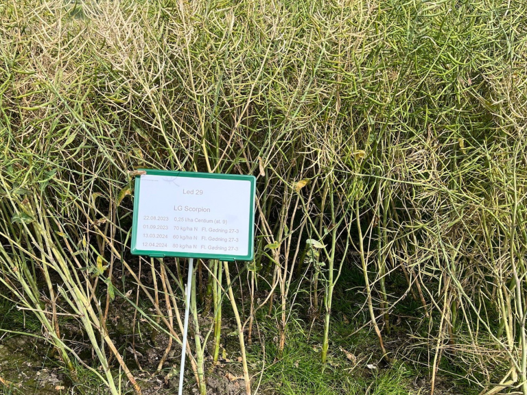 Egeskov demomark 2024