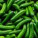 Cucumber