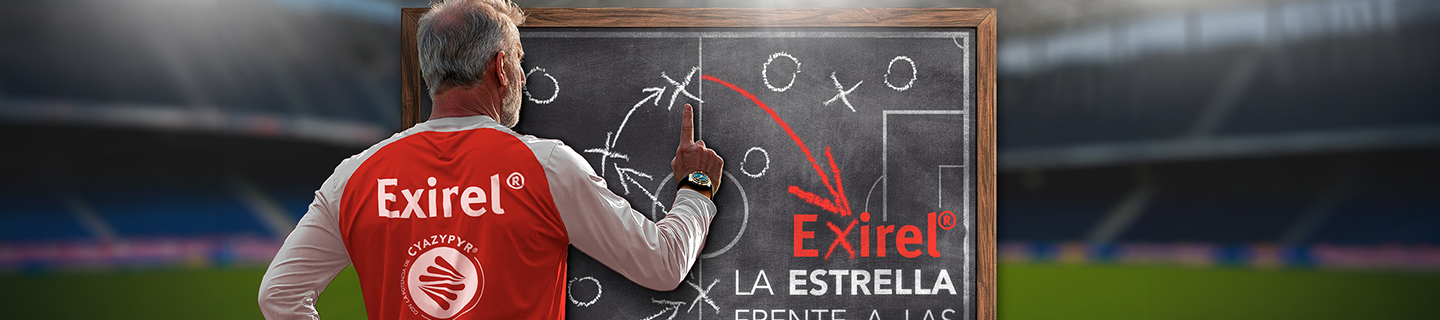 LANZAMIENTO EXIREL