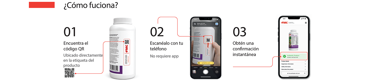 Nuevo sistema de verificación mediante códigos QR 