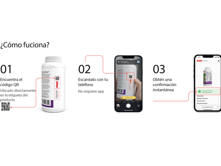 Nuevo sistema de verificación mediante códigos QR 