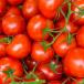 Tomate