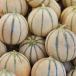 Melón