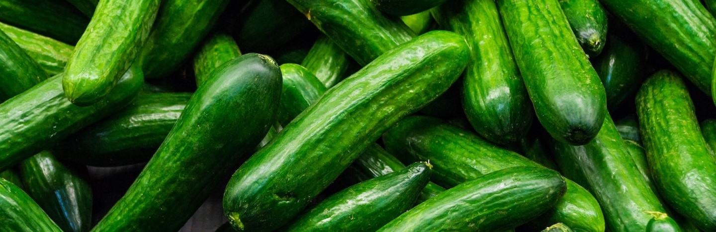 Cucumber