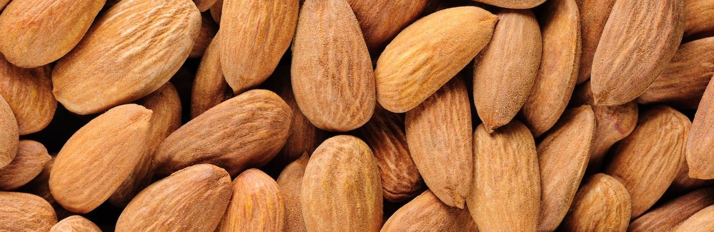 FRUTALES DE CÁSCARA