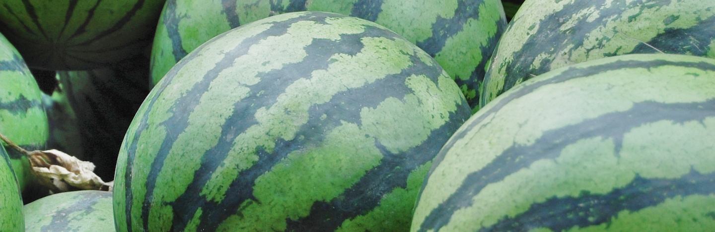 sandia