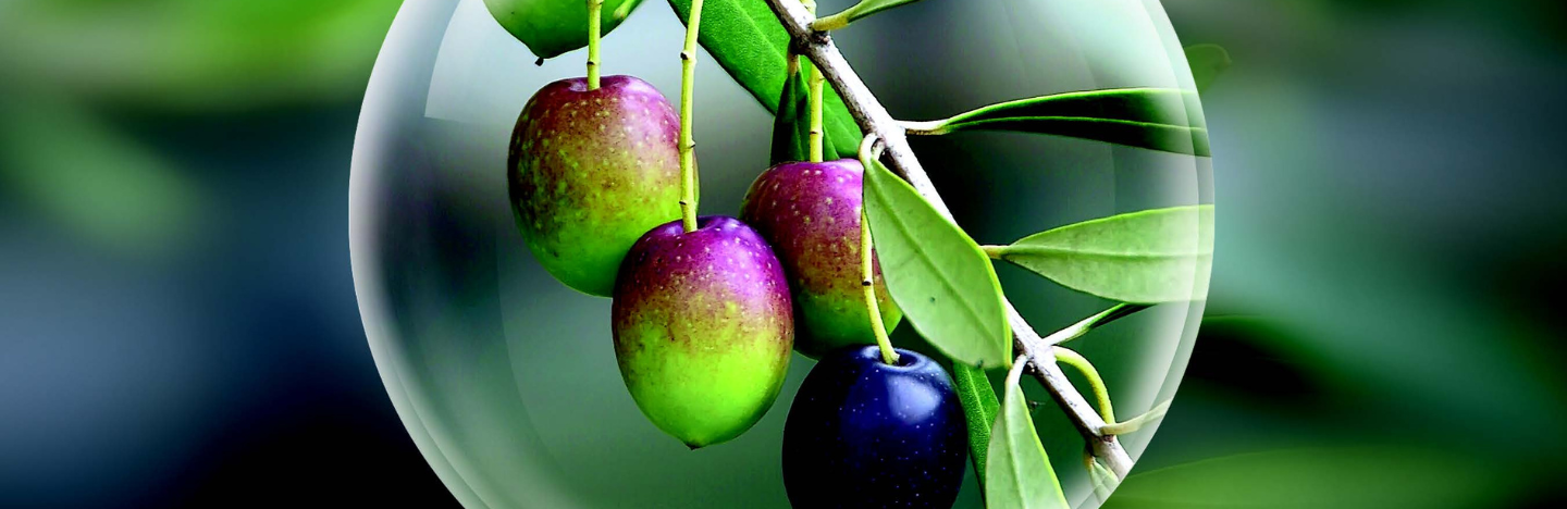 EXIREL® 10SE – Τώρα και για ψεκασμούς φυλλώματος στην ελιά!