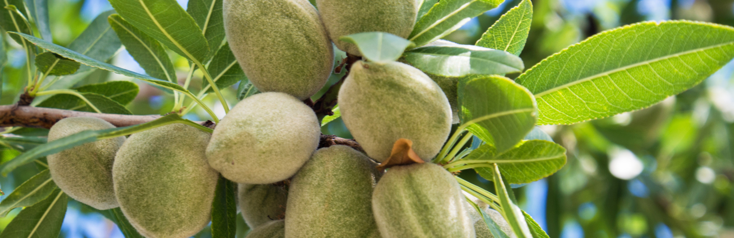 AKITO: Διεύρυνση χρήσης ήσσονος σημασίας στα ακρόδρυα