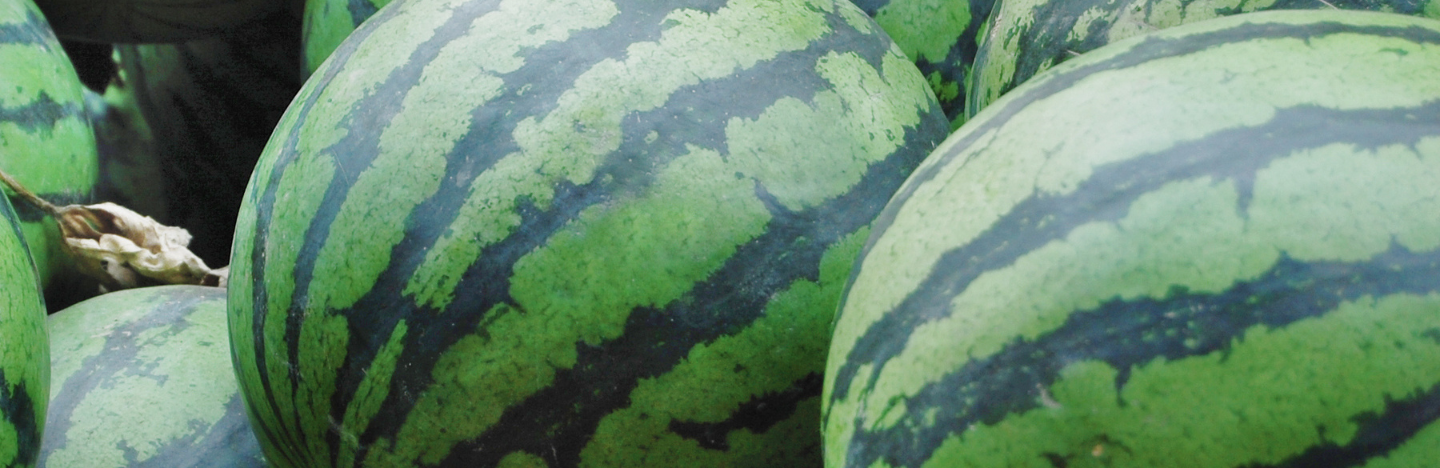 Νέα κατά παρέκκλιση έγκριση χρήσης του Verimark® 20 SC