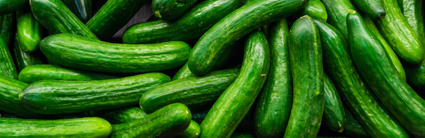 Verimark® 20 SC & Benevia® 10 OD σύγχρονες λύσεις για τα κολοκυνθοειδή