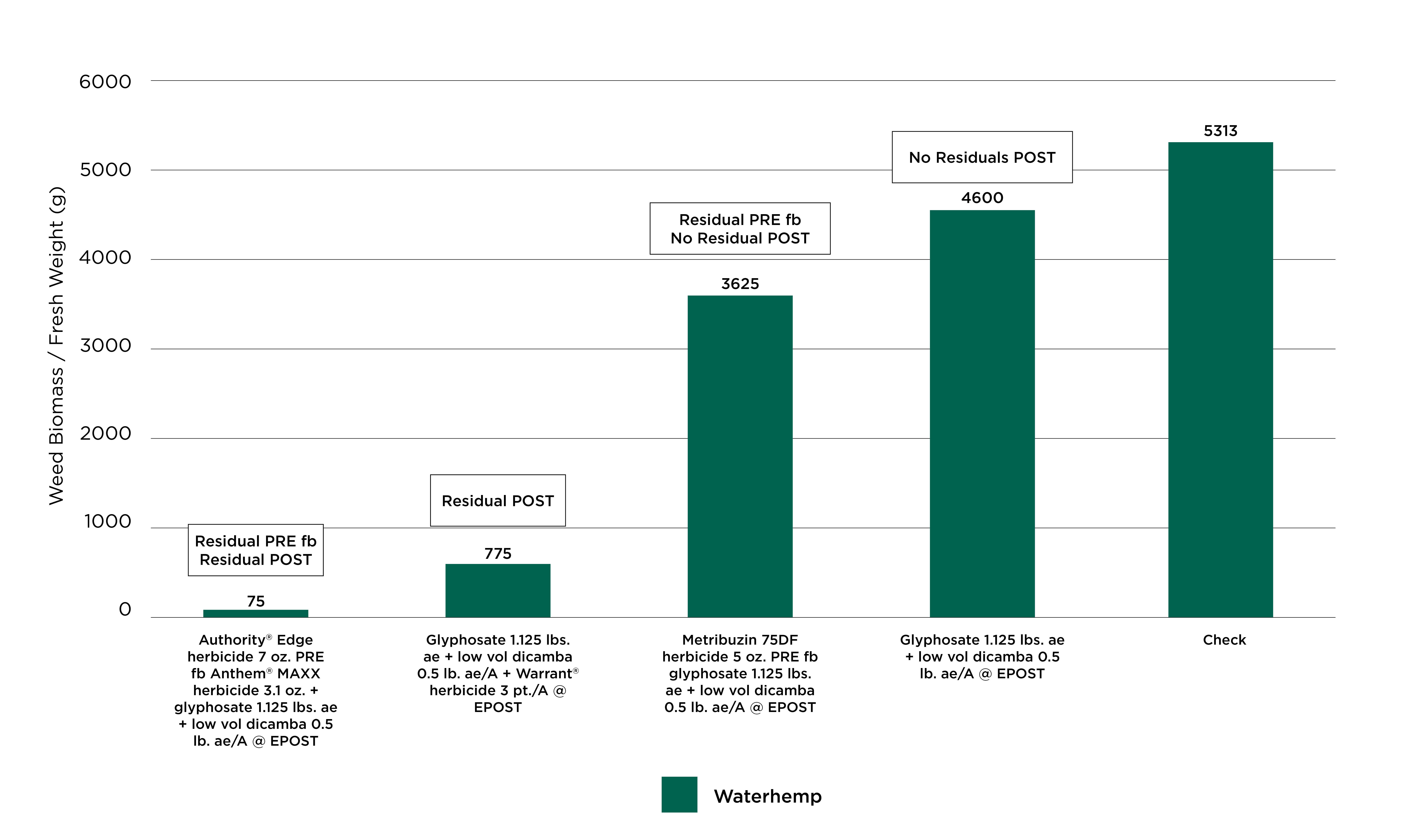Waterhemp Weed Control