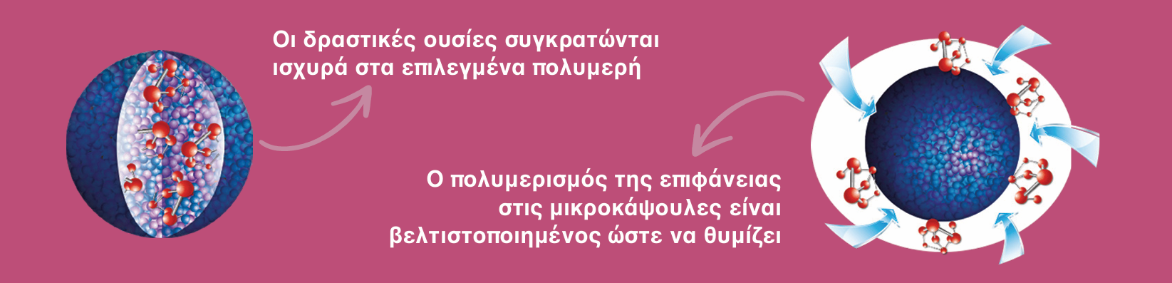 FUNDATIS powered by Isoflex active ζιζανιοκτόνο για Ήρα στο χειμερινό σιτάρι