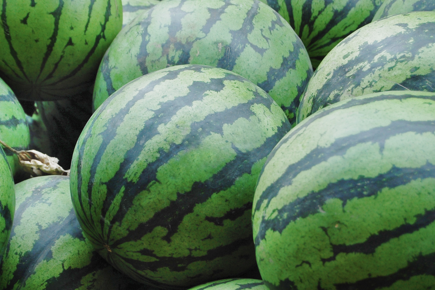 Νέα κατά παρέκκλιση έγκριση χρήσης του Verimark® 20 SC