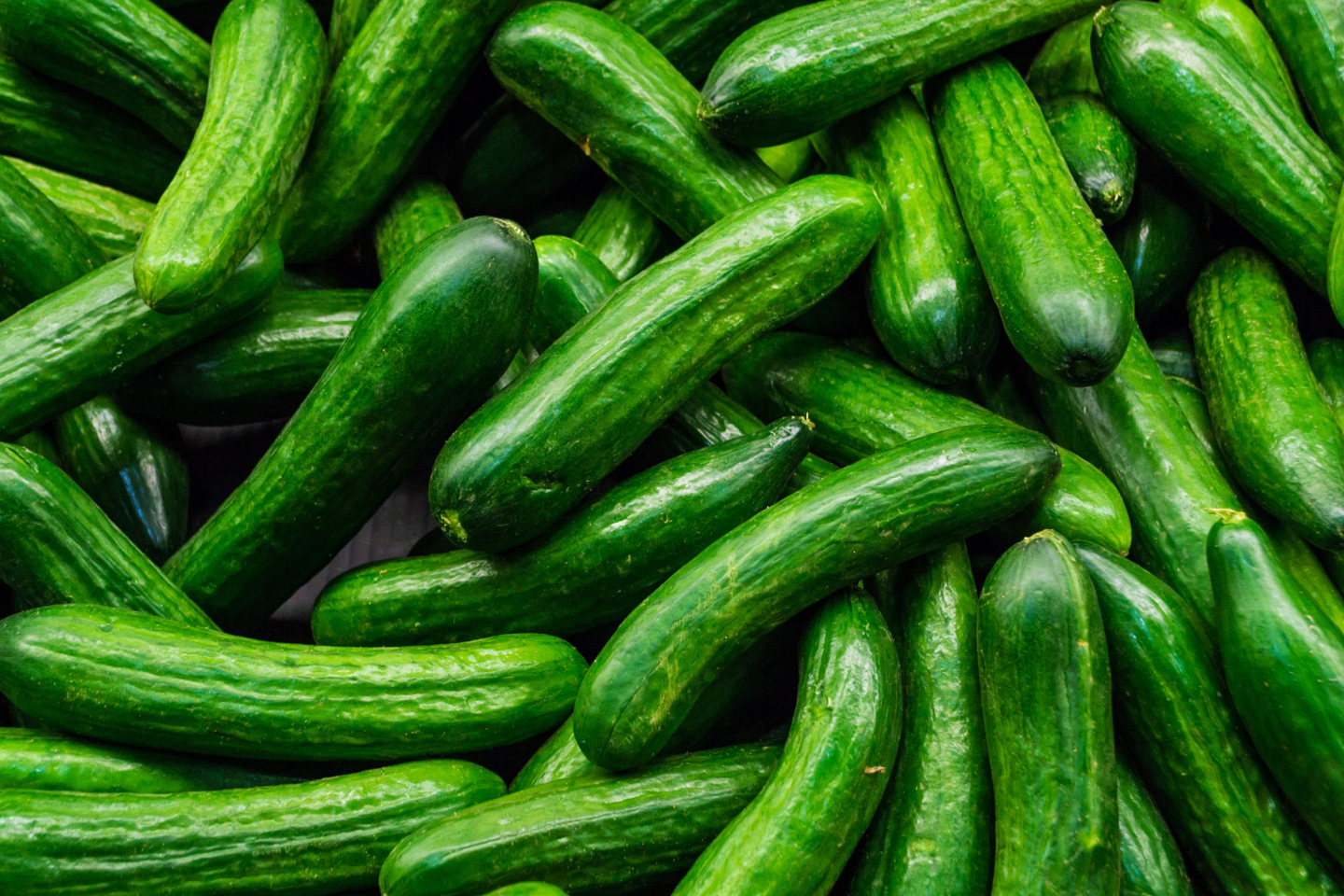 Verimark® 20 SC & Benevia® 10 OD σύγχρονες λύσεις για τα κολοκυνθοειδή