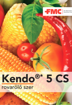 kendo