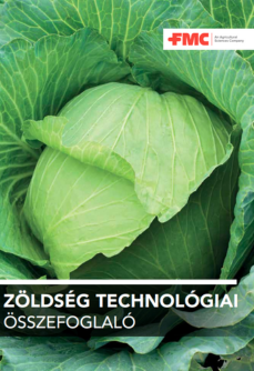 Zöldség