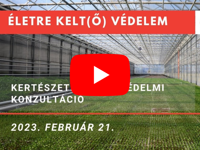 kert konz