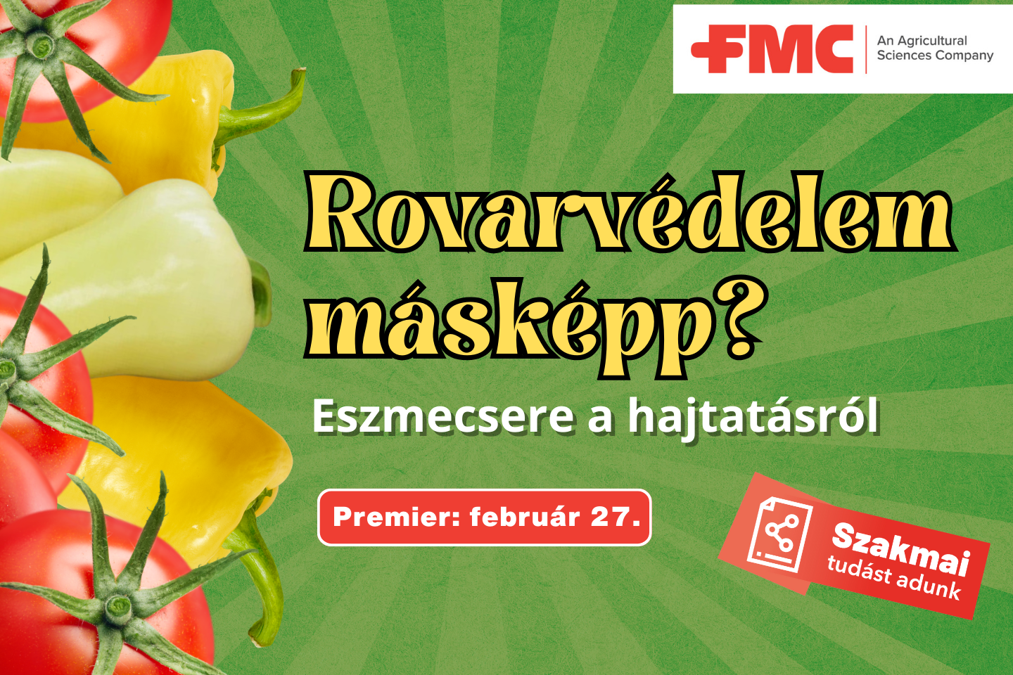 hajtatás