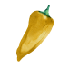 Paprika (szabadföldi)
