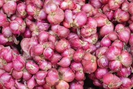 Shallots