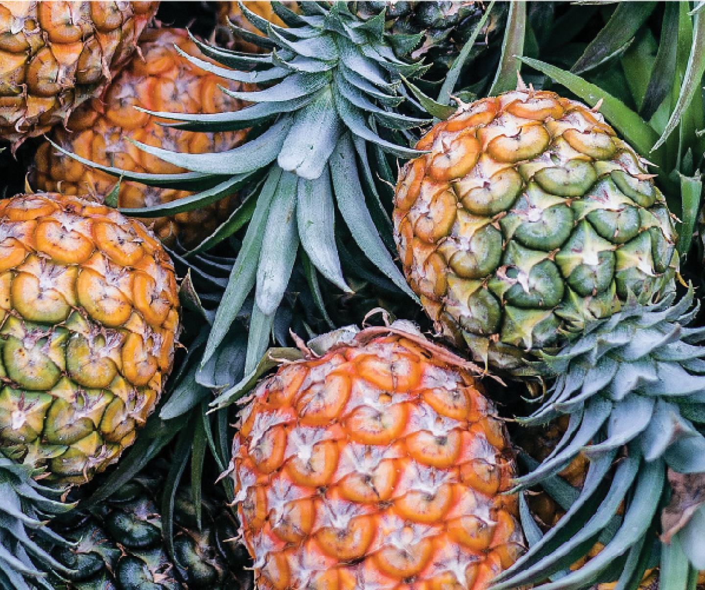 pineapple