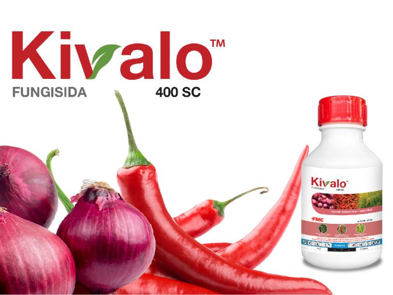 Launching a New Product of Kivalo 400 SC