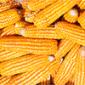 Jagung