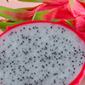 Buah Naga
