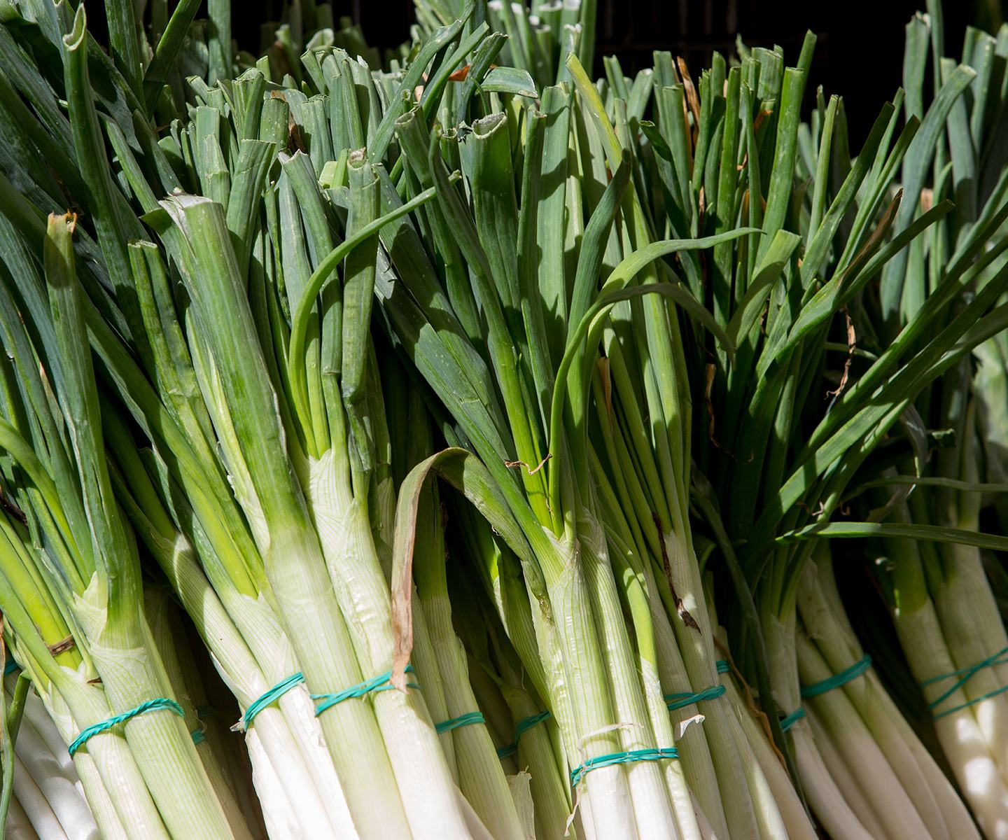 bawang daun