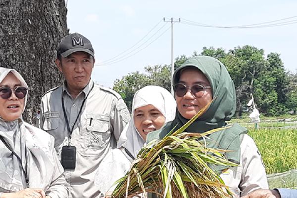 BSIP ZInatra