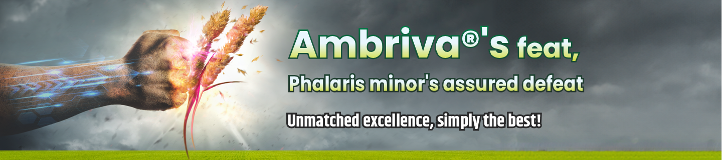 Ambriva® herbicide