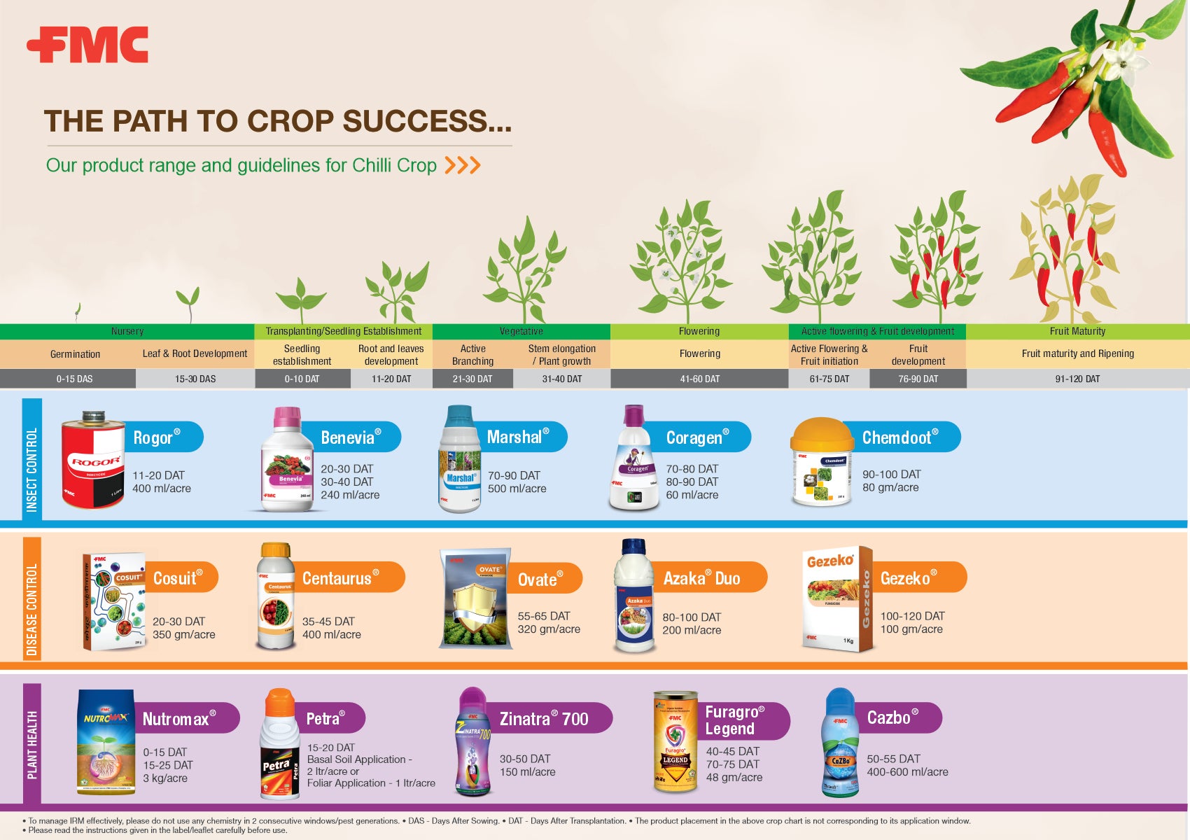 Chilli Portfolio Handbill