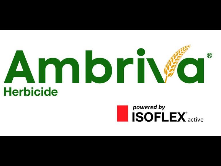 Isoflex® Active and Ambriva® Herbicide