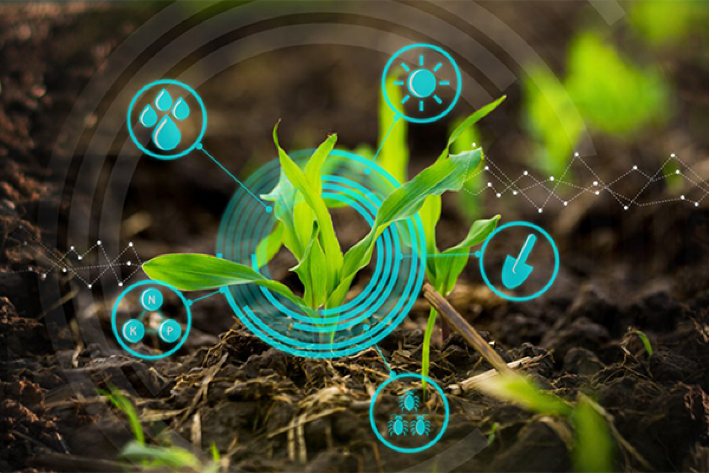 FMC India is committed to attracting and developing talent in Agriculture in India.