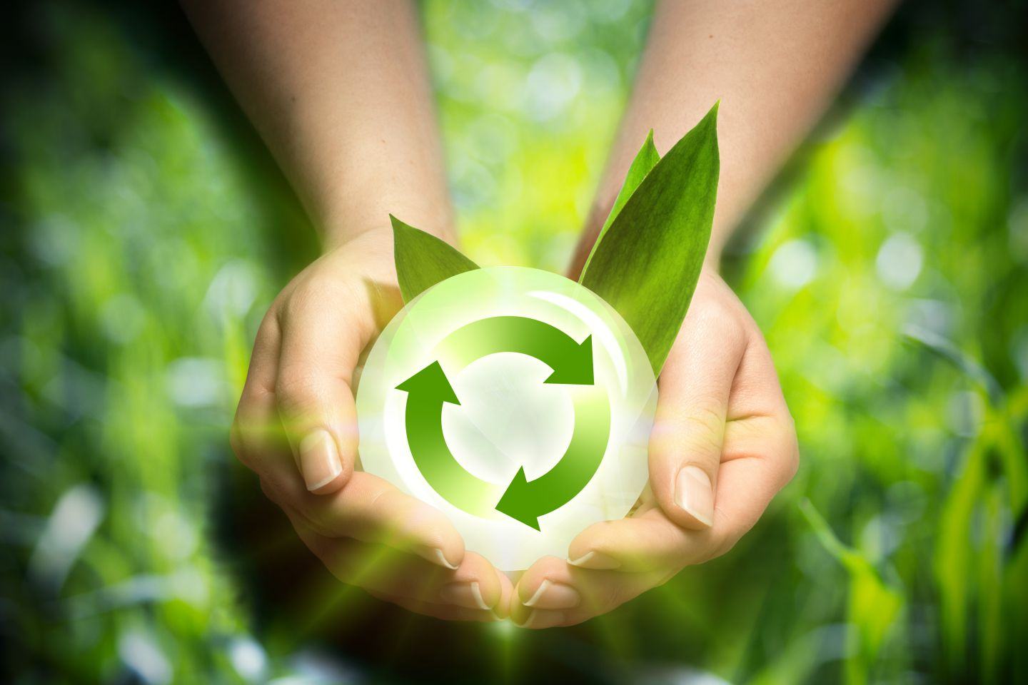 One of FMC's core areas of focus is Rightful & Mindful Resource Conservation.