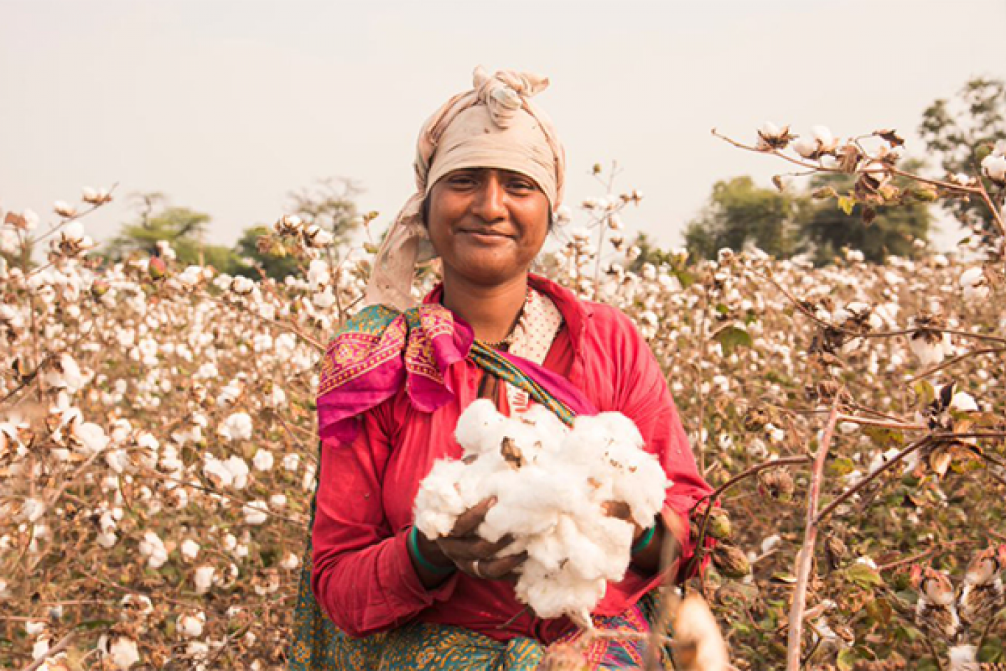 Empowering Women in Agriculture in India.