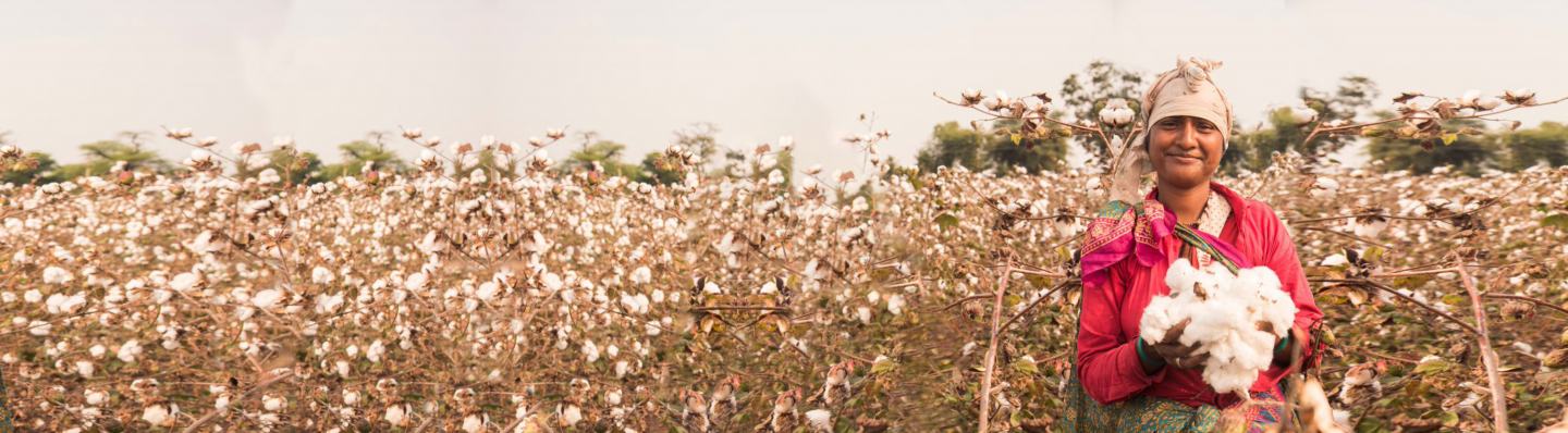 Empowering Women in Agriculture in India