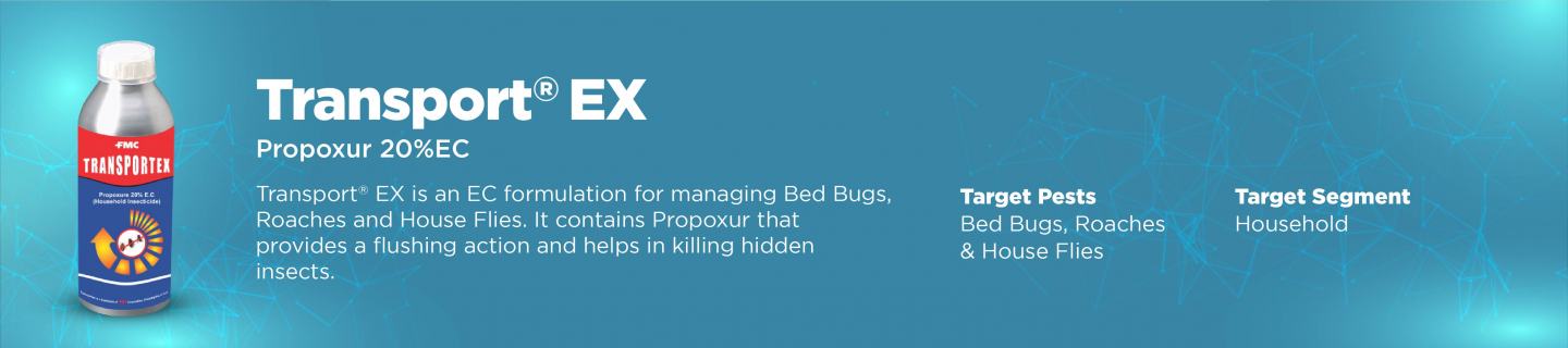 Transportex