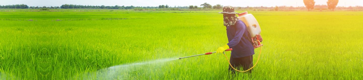FMC's robust range of insecticides provides superior pest control.