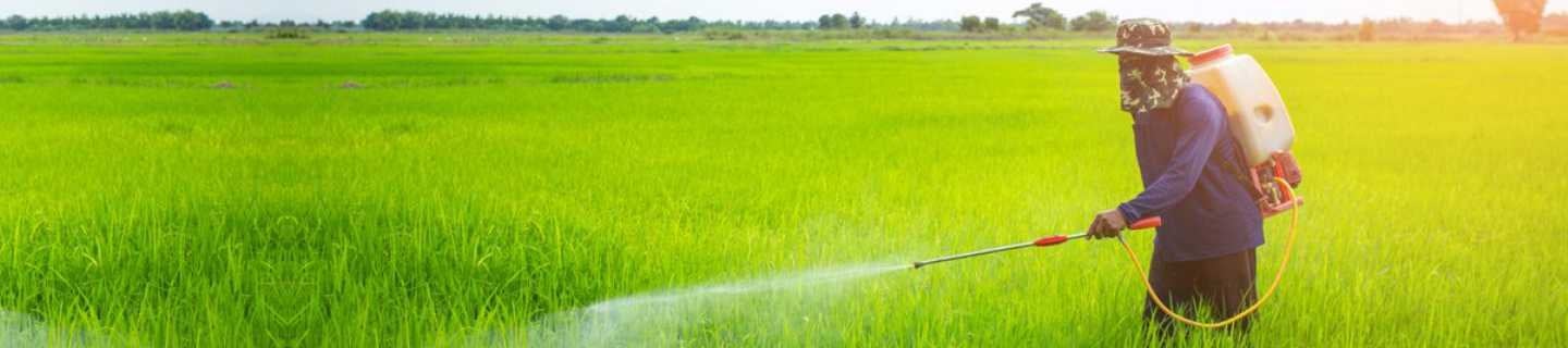 FMC's robust range of insecticides provides superior pest control.
