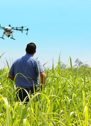 Hero banner sostenibilità