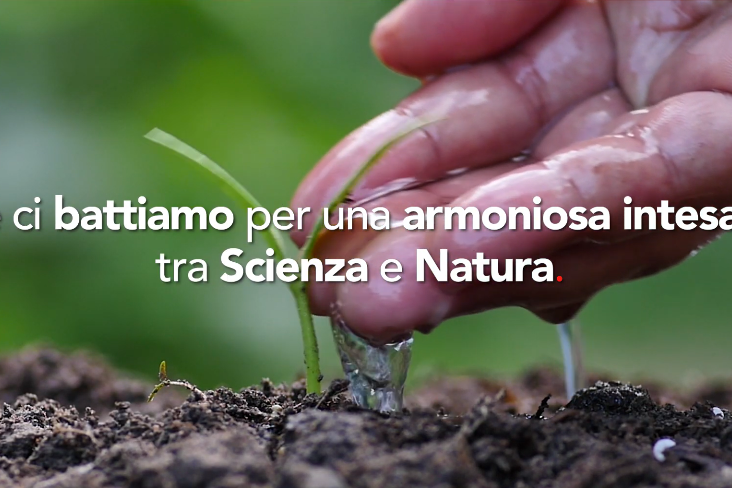 Scienza e natura