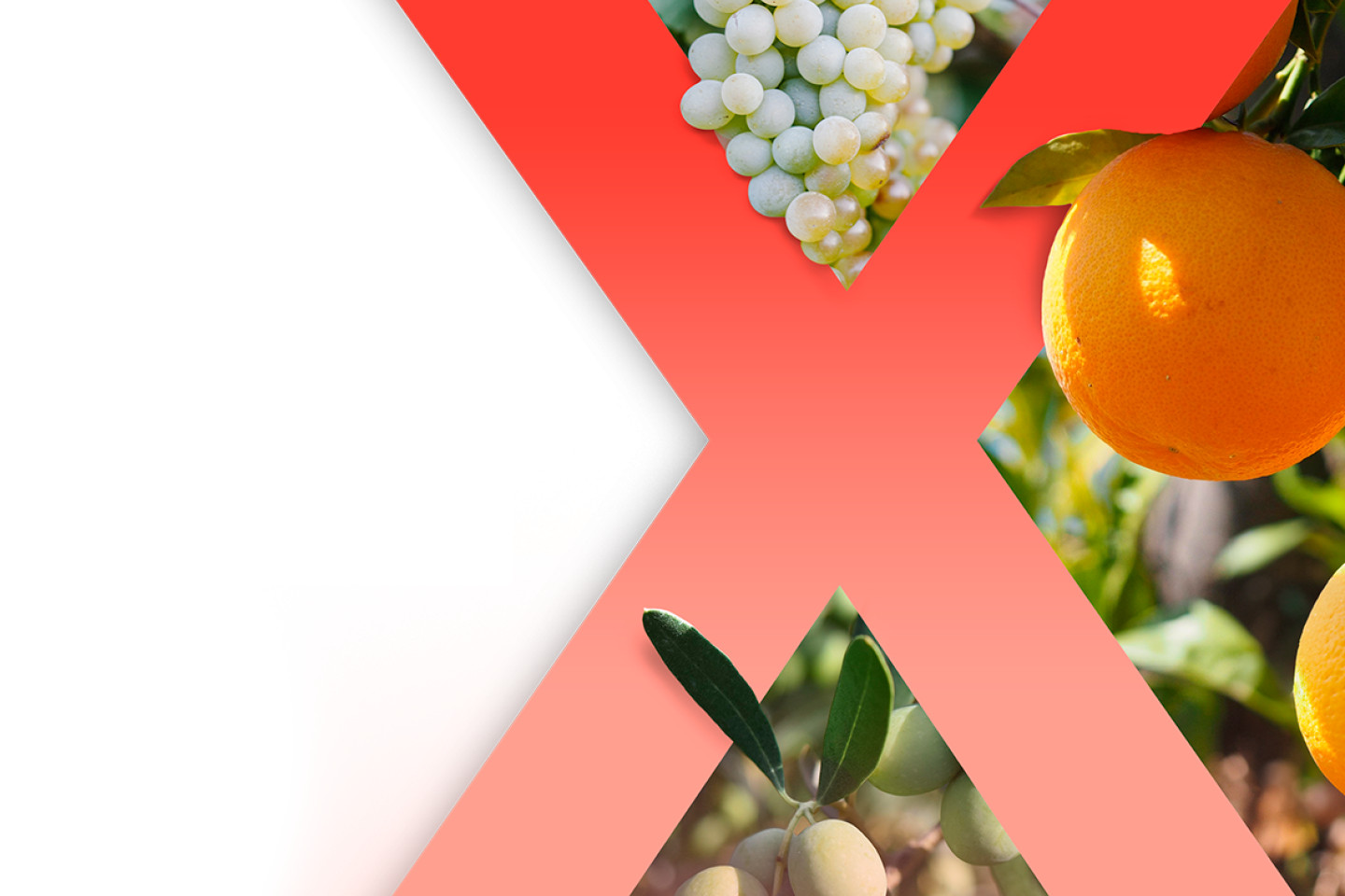 Exirel